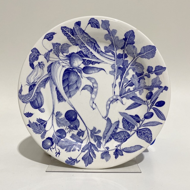 PLATE, Blue White Botanical Print